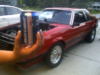 mustang.jpg