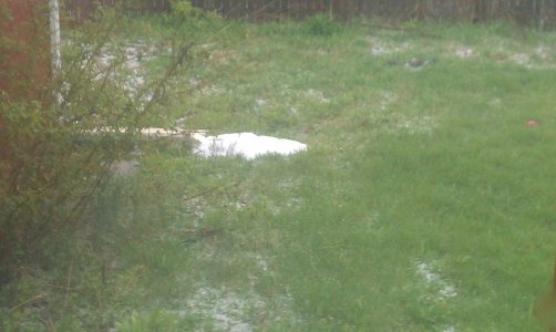 Yard drain issues.jpg Yard drain issues.jpg