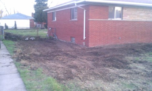 front yard 1.jpg