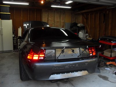 SDC10648.JPG