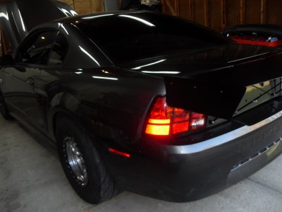 SDC10650.JPG