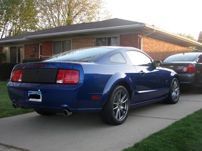 blue5.jpg