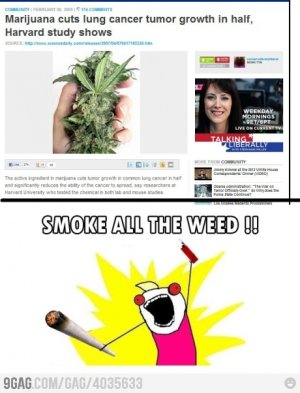 smoke_all_the_weed-74267.jpg