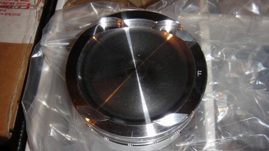 DSC00830 (Small).JPG