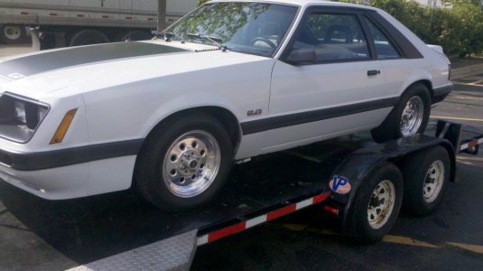 white 86.jpg