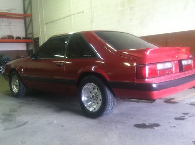 mustang 2.JPG mustang 2.JPG