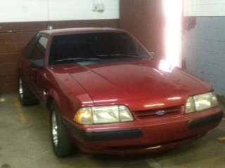 mustang.JPG