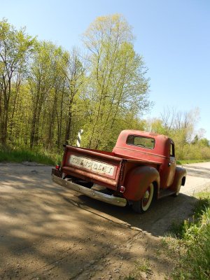 mm25485.jpg