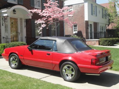 Front Drive1.jpg