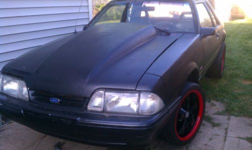 w_rims2.jpg