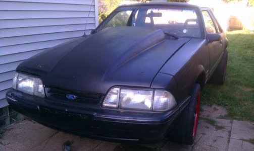 w_rims.jpg