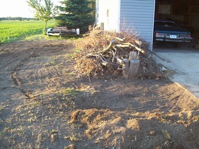 100_6571.jpg