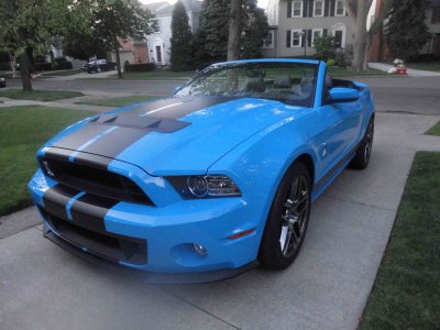 Shelby1.jpg