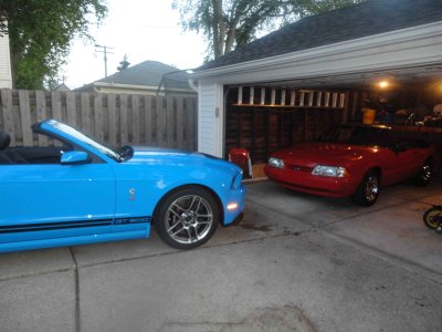 Front Shelby.jpg