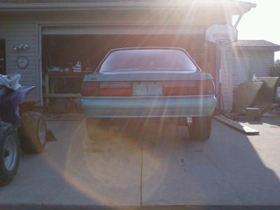 rear notch.jpg