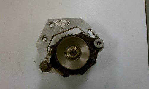 IMAG0135.jpg