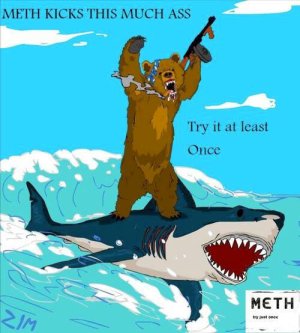 Meth kicks this much ass.jpg