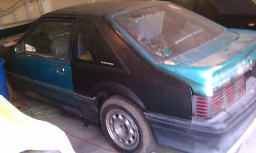 IMAG0920.jpg