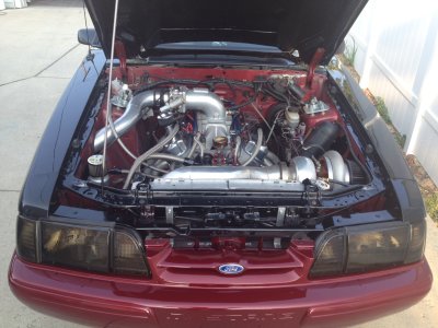 new paint.JPG