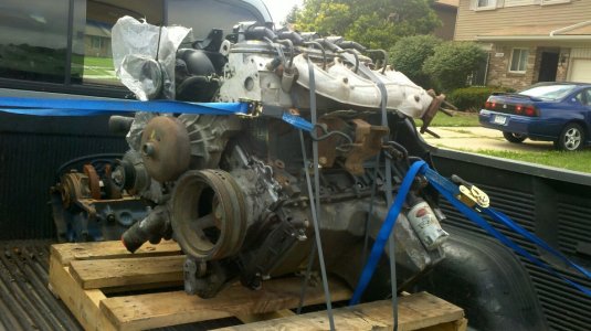 5.3 mustang motor.jpg