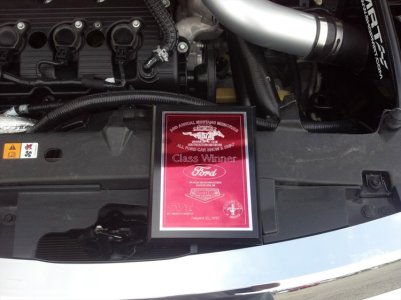 15908010_large.jpg