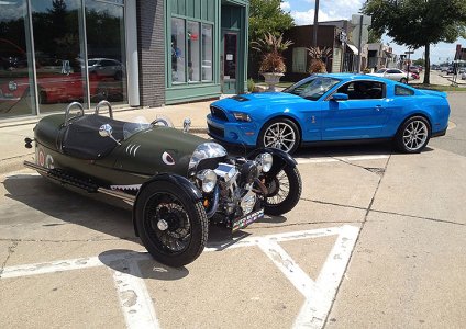2-BEAUTIES.jpg