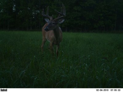 SprintPhoto_b1h31v.jpg