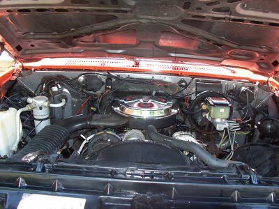 100_3638.JPG 100_3638.JPG