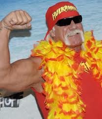 the hulk.jpg