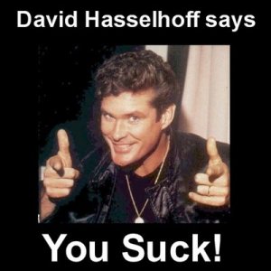 DavidHasselhoffsaysyousuck.jpg