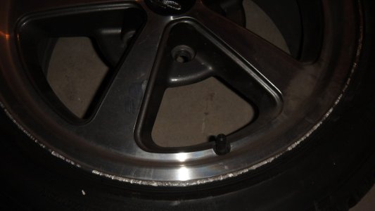 DSC01095 (Medium).JPG