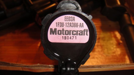 DSC01072 (Medium).JPG