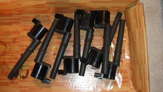DSC00812 (Medium).JPG