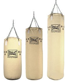 HeavyBags_Everlast.jpg