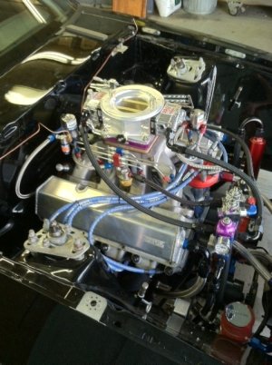 451 w sv1.JPG