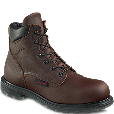 02406redwing_thumb.png