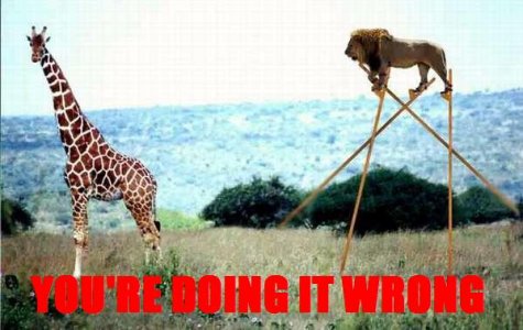 giraffe-diw.jpg