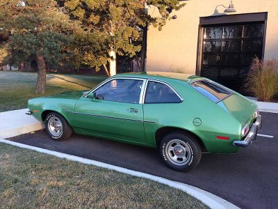 PINTO-BEAUTY.jpg