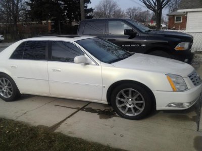 caddy.jpg