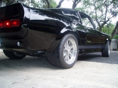 shelby.jpg