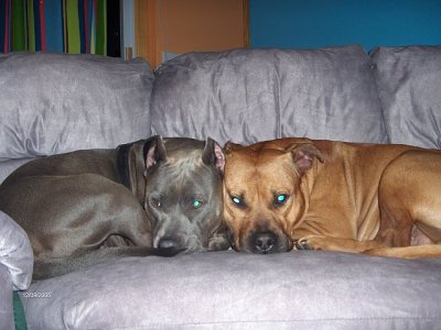 398319220109_0_BG.jpg