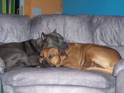 226529220109_0_BG.jpg