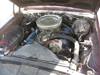 IMG_0060.JPG