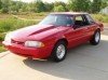 mustang_13.jpg