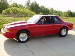 mustang_23.jpg