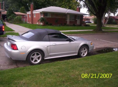 mustang.jpg