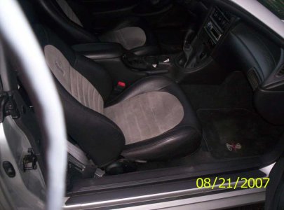 mustang1.jpg