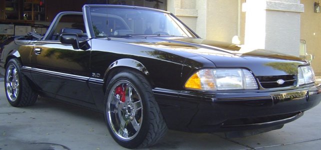mustang 007.JPG sm.jpg