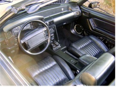 mustang 003.JPG sm.jpg