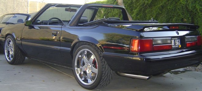 mustang 004.JPG sm.jpg